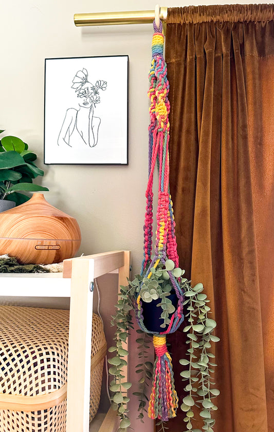 Large Rainbow Plant Hanger